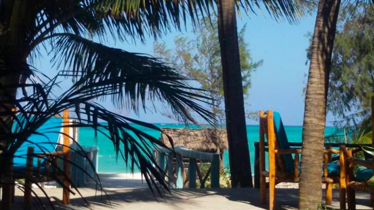 Paje Beach Apartments & Hotel المظهر الخارجي الصورة