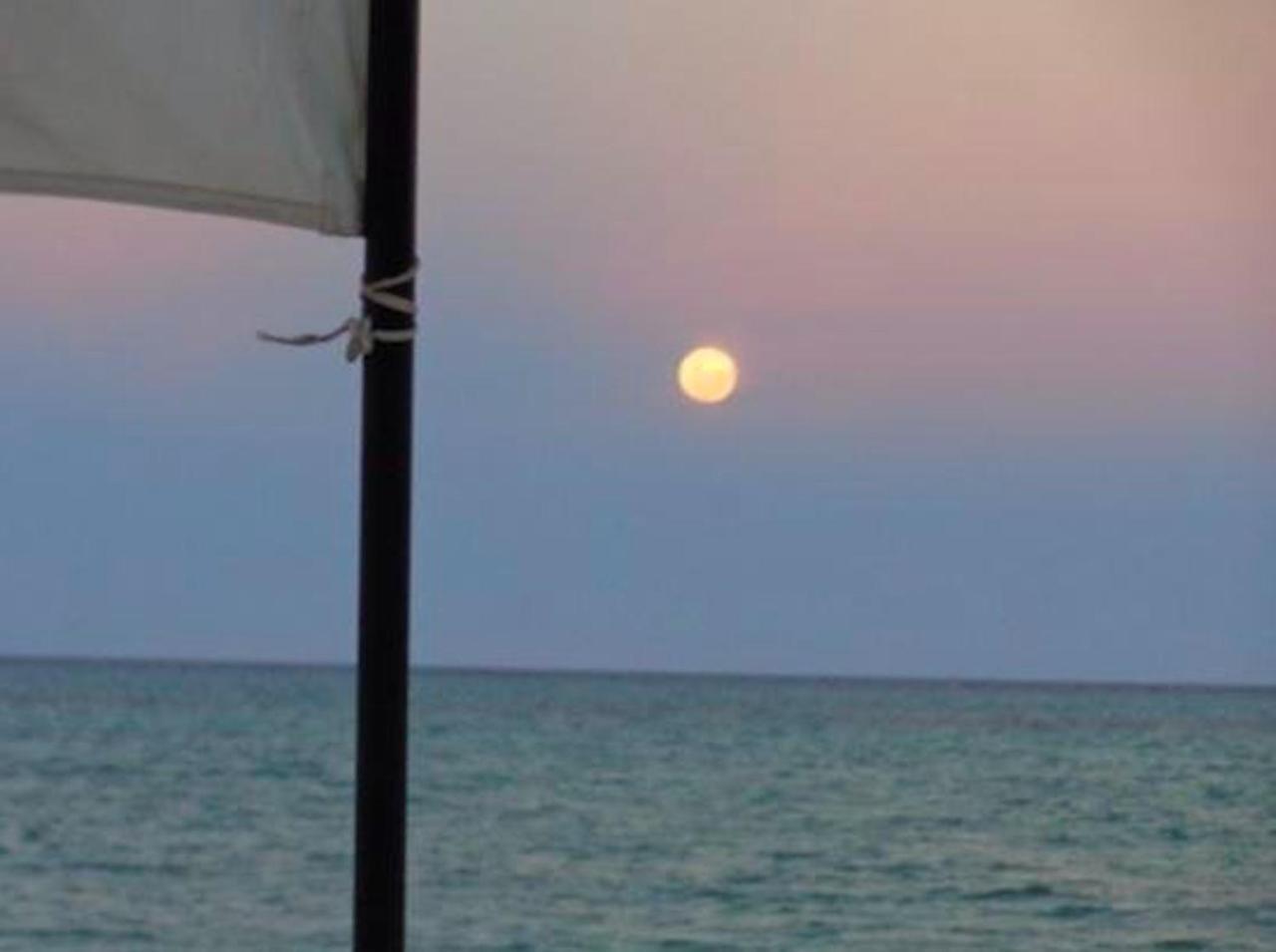 Paje Beach Apartments & Hotel المظهر الخارجي الصورة